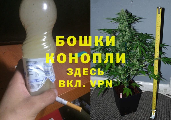 трава Михайловка